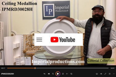 watch Youtube video on IPMRD30028H