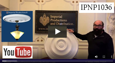 IPNP1036 Youtube video