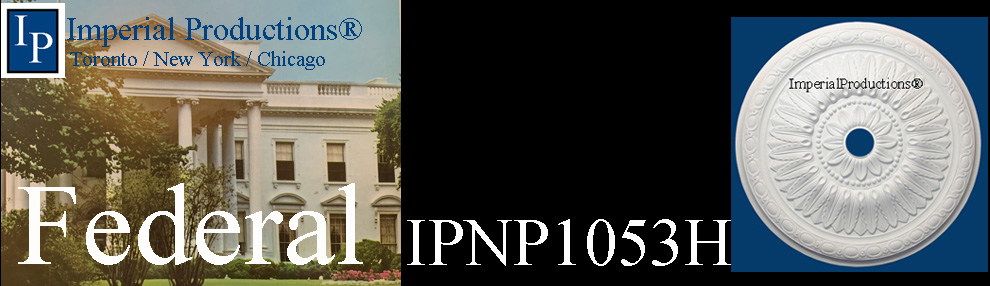 IPNP1053H medallion