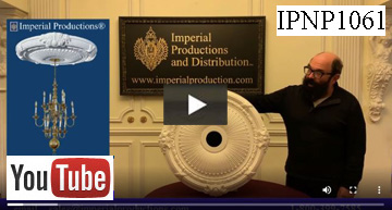 IPNP1061 Video